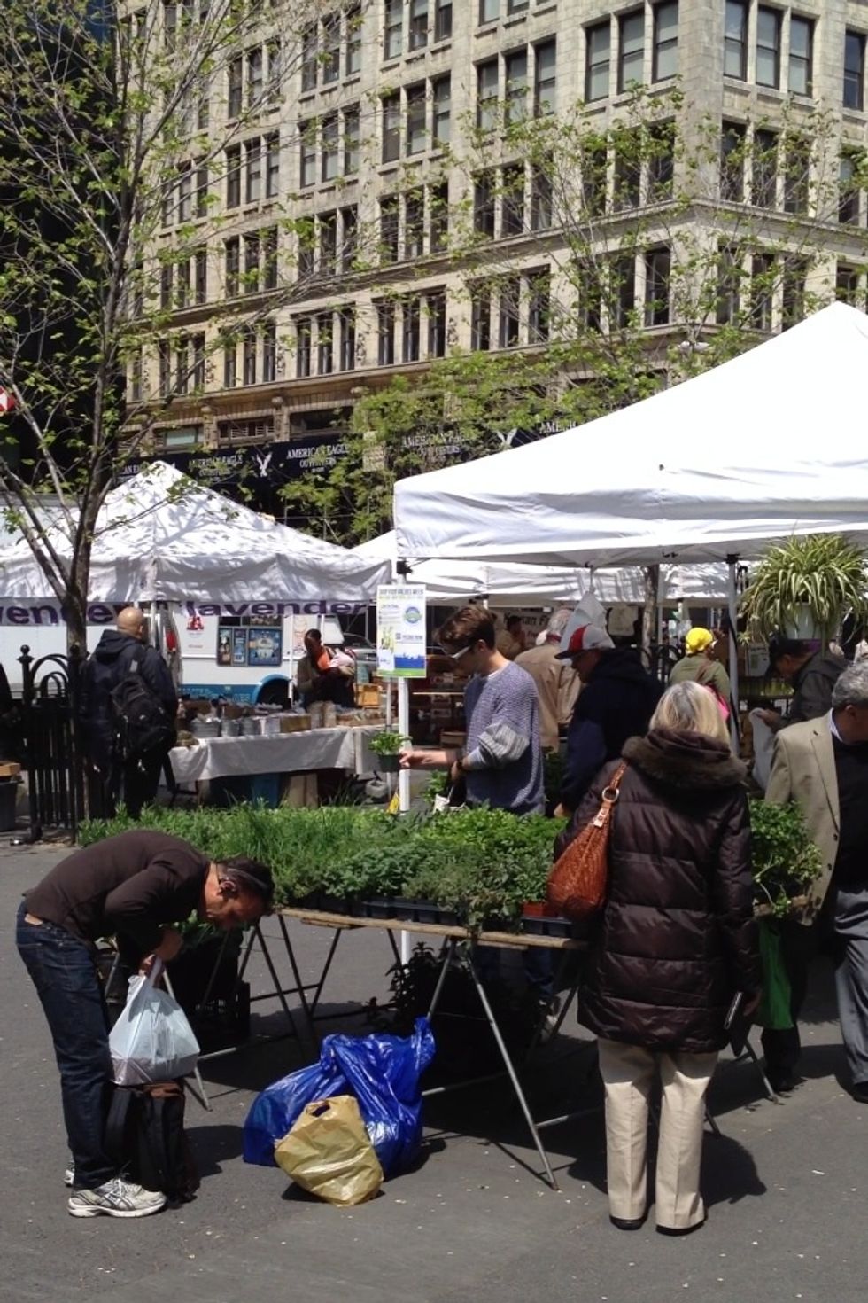 Union Square Greenmarket