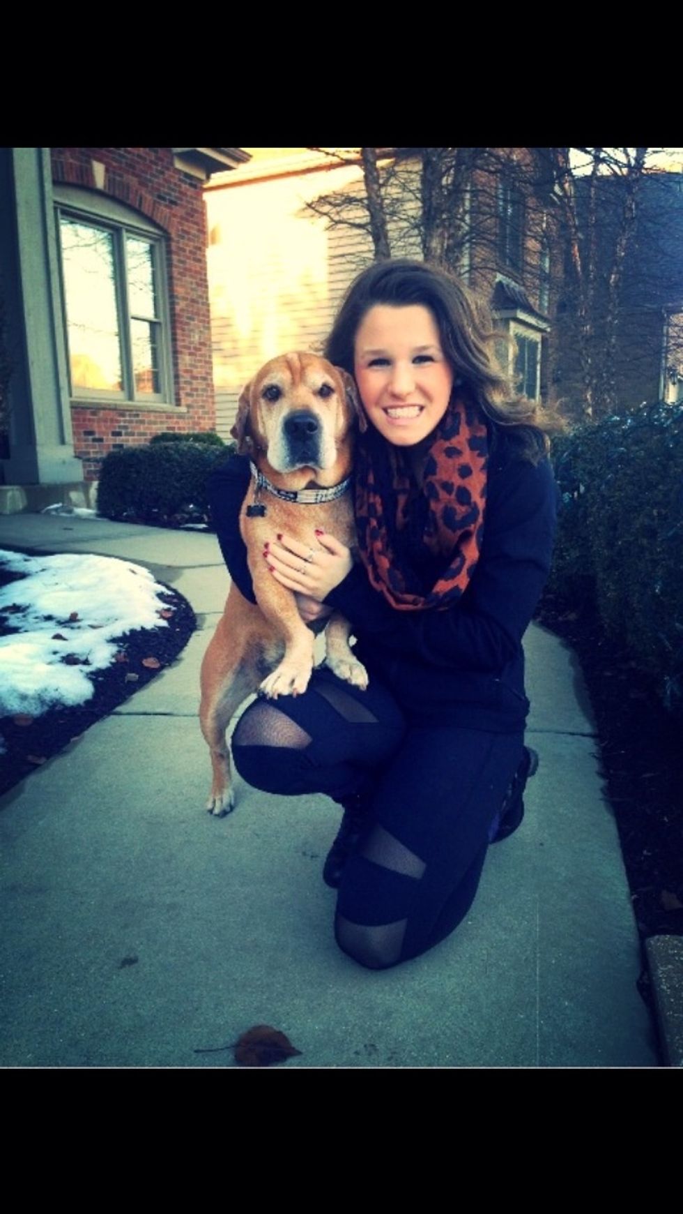 Until one has fallen in love with an animal, their souls will remain unawakened.