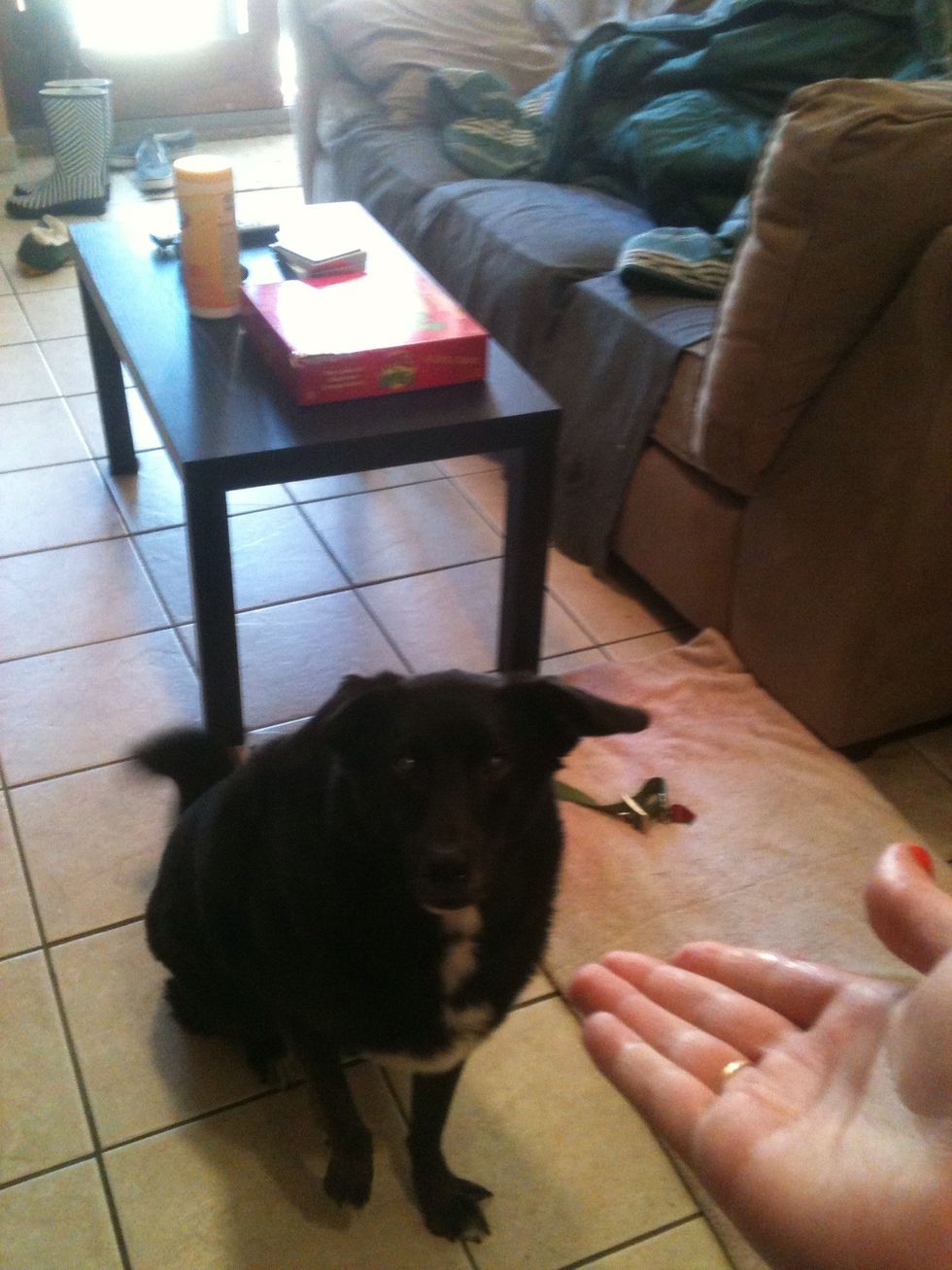 Up the ante when they're good at sitting with the treat, to trying to just use your hand signal with no treat in hand. Still give treats, just store them in your other hand.