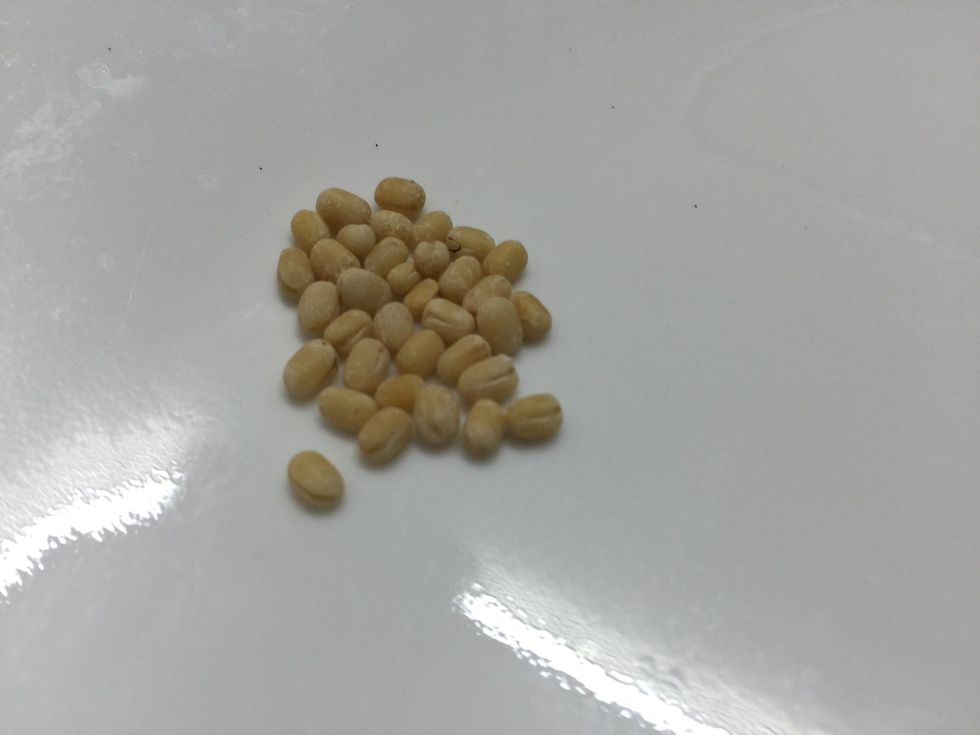 Urad Dal