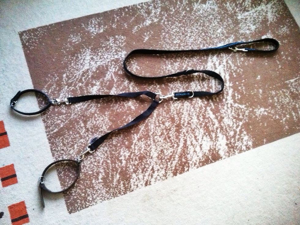 Use a harness strap to connect the dogs to the leash.