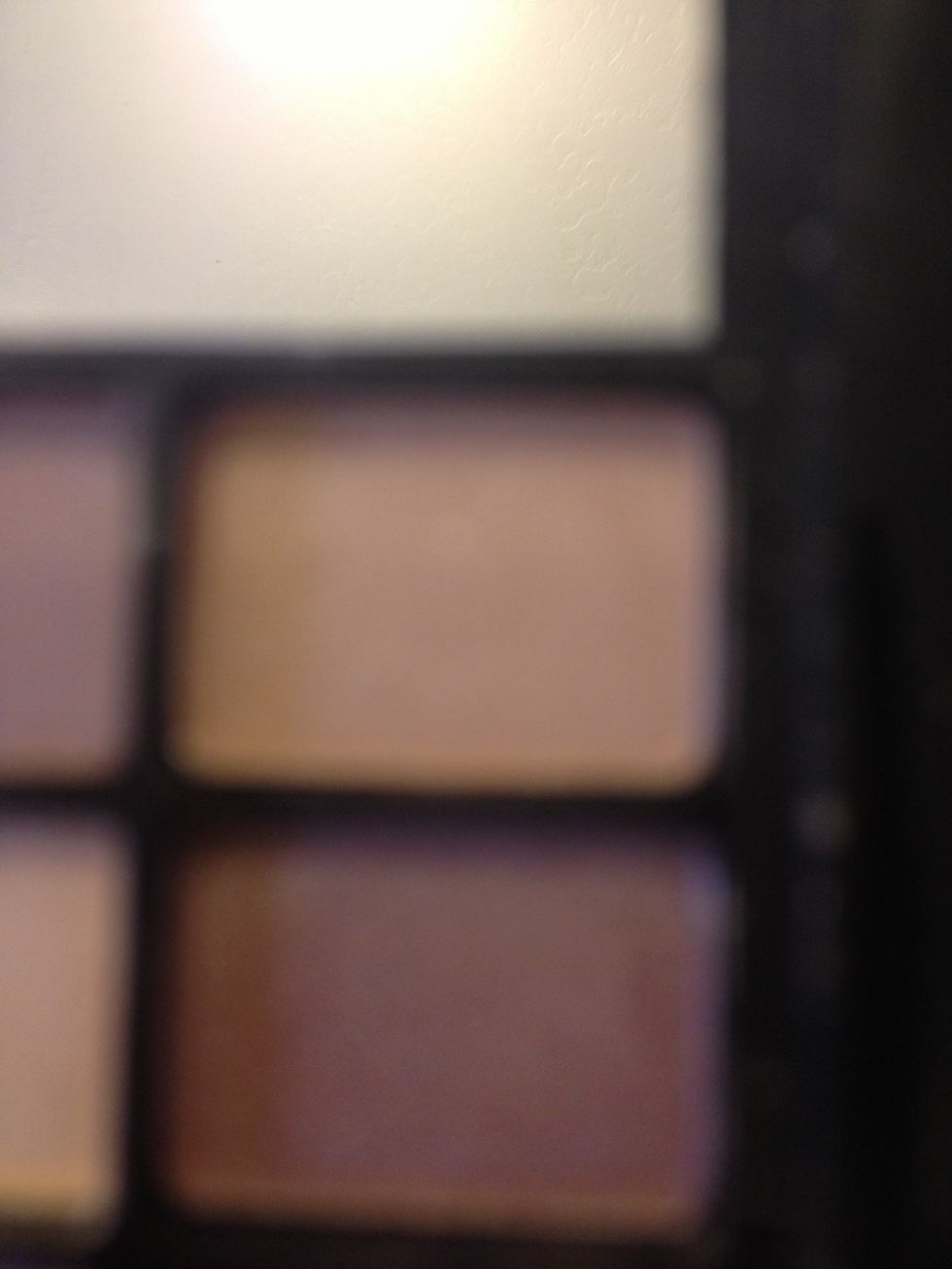 Use a light tanish (ELFs Little Black Beauty Book in Warm Edition)