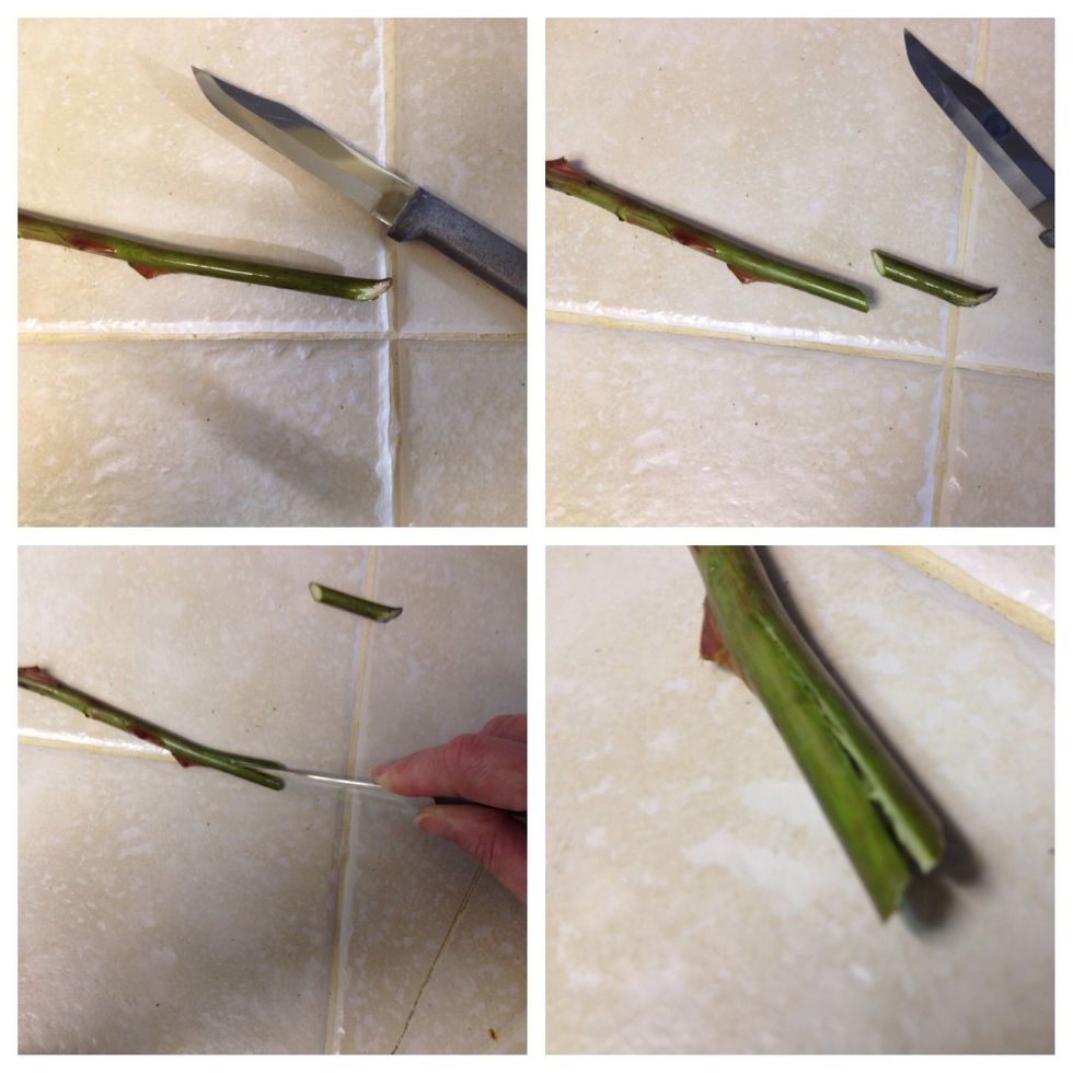 Use a sharp paring knife to cut off about an inch of the stem on an angle. Then, slice UP the stem about another inch. This allows the stem to continue to take up water.