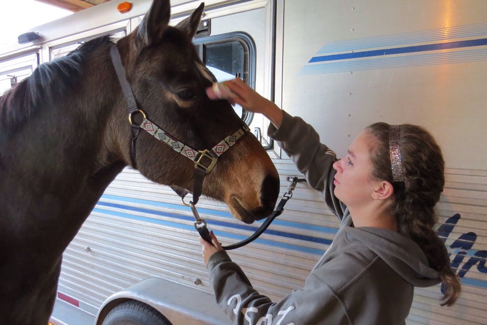 Use a soft face brush to get the dust off the horse's face.