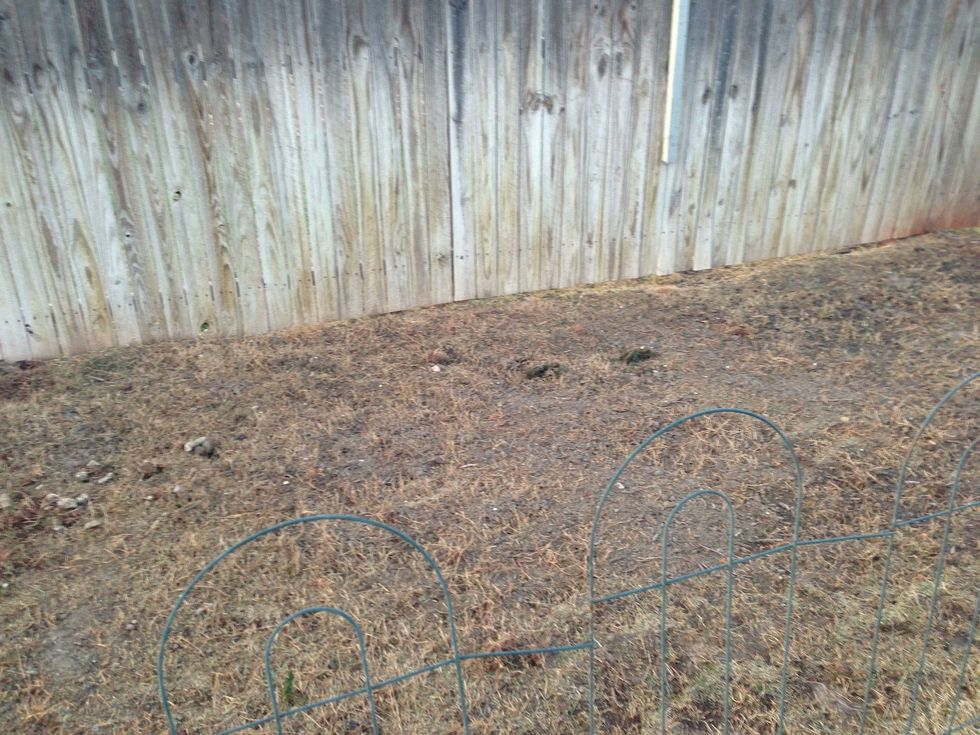 Use a Weedeater or Edger to remove remaining grass or weeds.