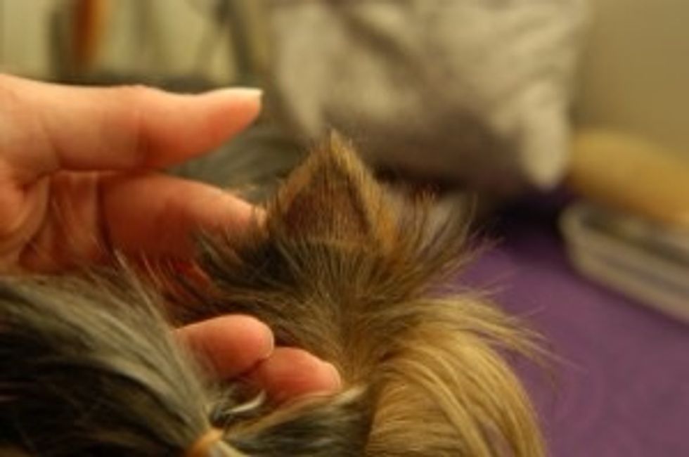 Use again a shaver (this is after)