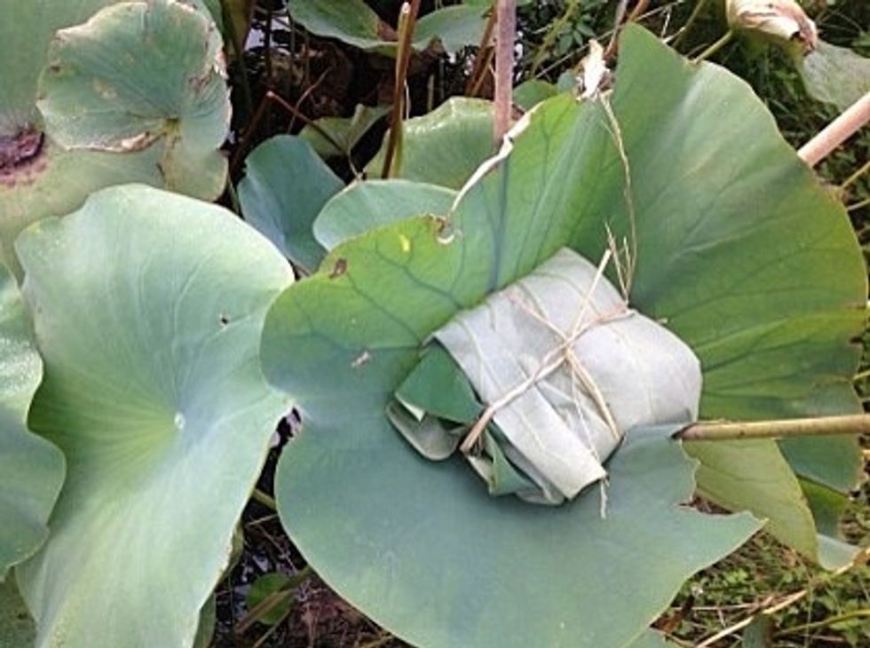 Use alive lotus as a fermenter. Wrap prepared one looks like picture and fix lotus leaf with bamboo.