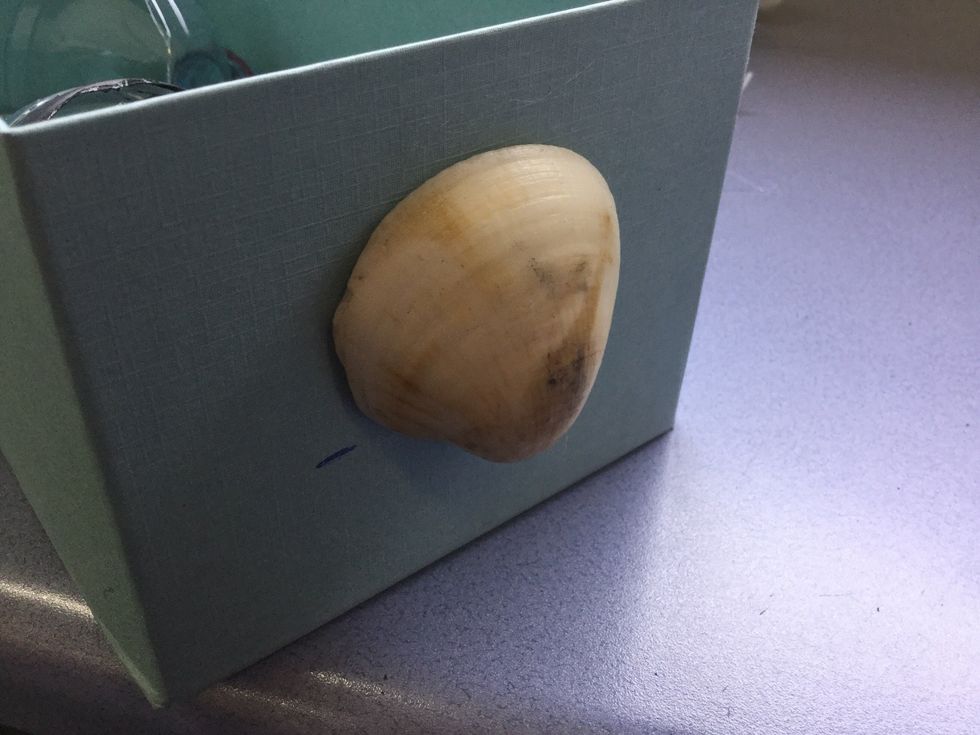 Use bigger shells to decorate the smaller sides TIP: Make sure you glue them a distance away from the top so that the lid can go on the box properly