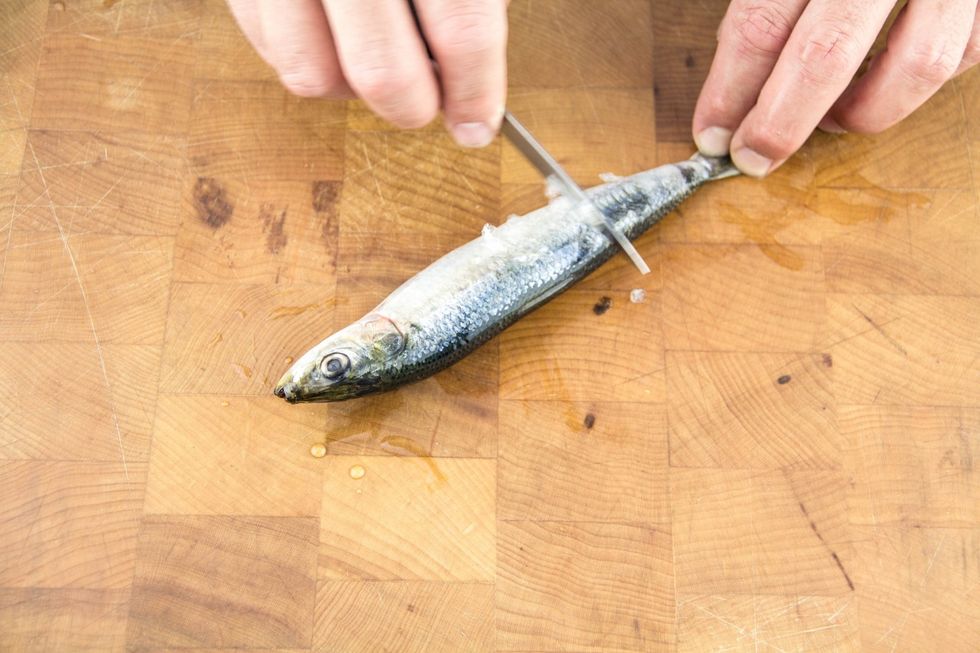 How to scale and clean sardines B+C Guides
