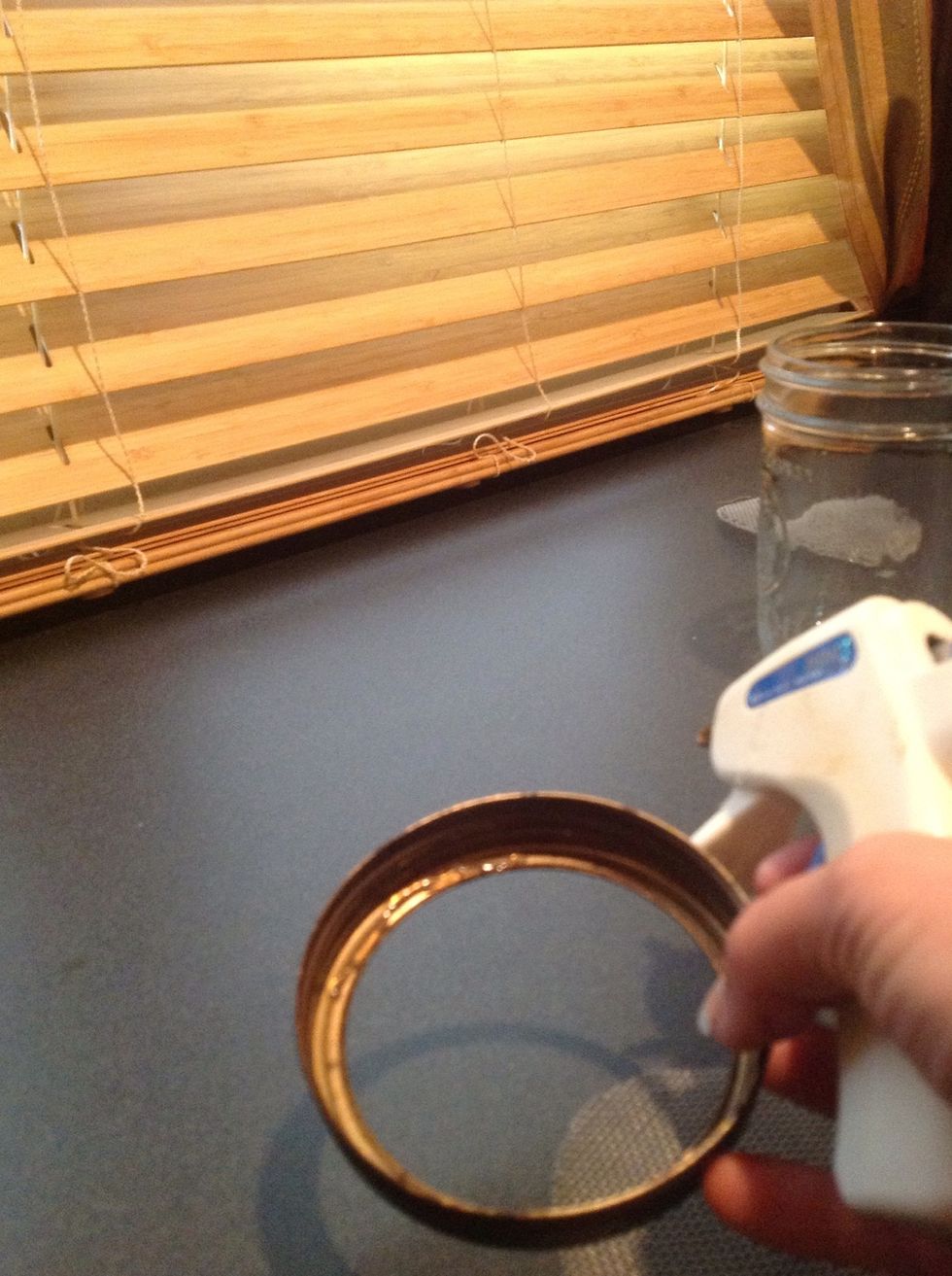 Use hot glue to tack the screen into the ring. It doesn't  have to be perfect, this is just to make sure it doesn't fall out & get lost when opening the jar in the dark to add bugs.