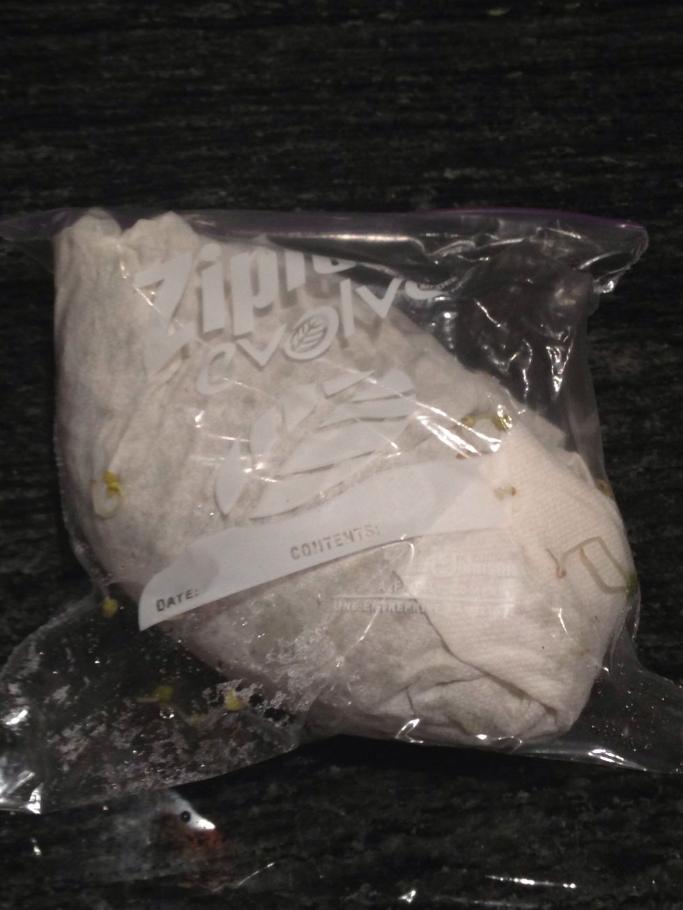 Use immediately, or store in the refrigerator for up to a week. To store in the fridge, wrap in a clean paper towel and place in a plastic bag or container.