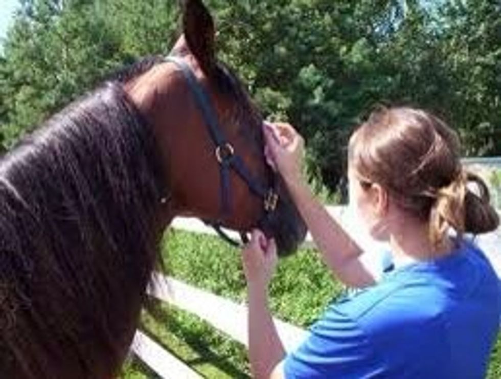 Use one corner of the damp cloth to wipe off any 'eye boogers'. Use the other corner to wipe any mucus off the horses nose/nostrils. Don't use the same corner. That's pretty disgusting.