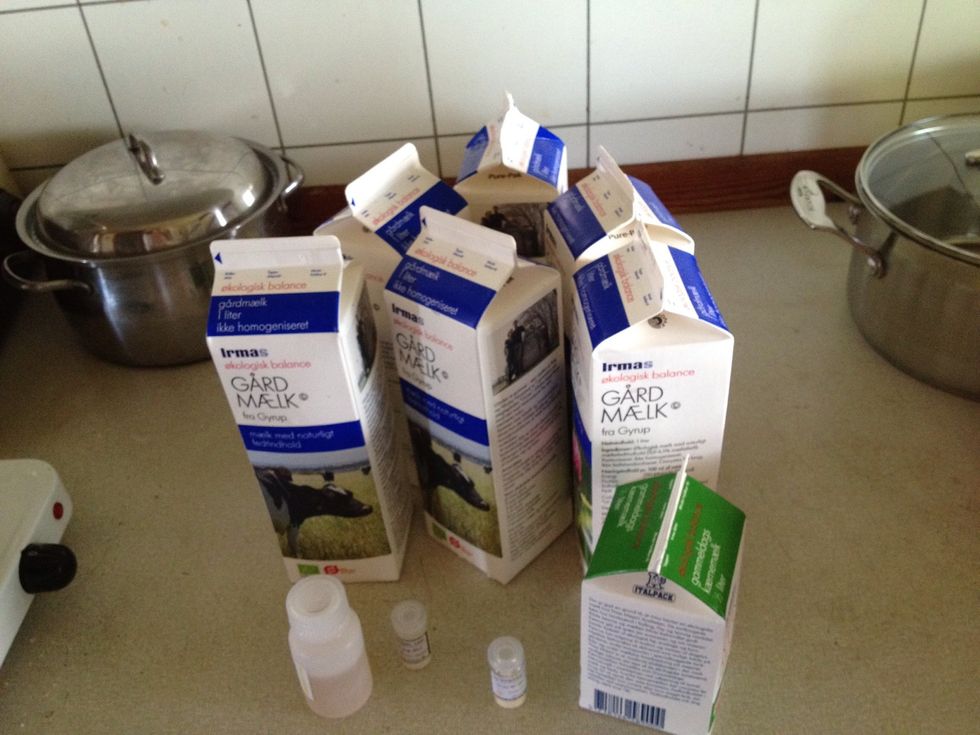 Use organic milk and buttermilk, because it is normally not homogenised. You can not use homogenised milk when making cheese. Let your milk mature on the kitchen table for 10 hours.