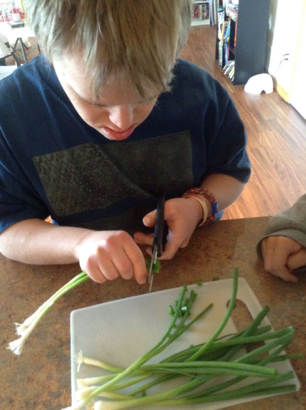 Use scissors to cut the green onions into pieces the width of a pencil erasers