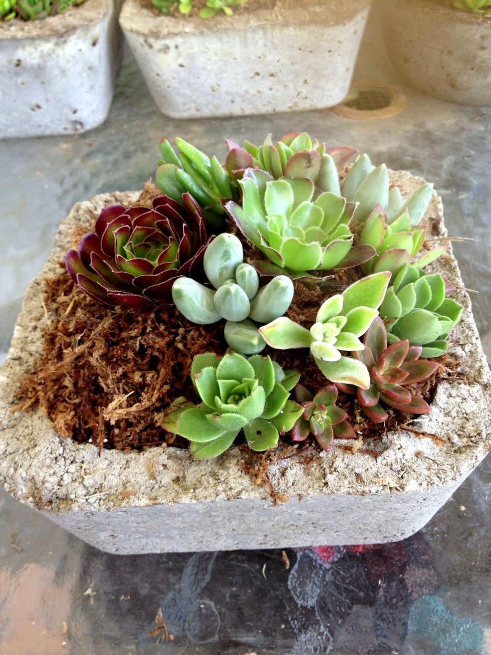 Use smaller cuttings to fill in the rest of the centerpiece.