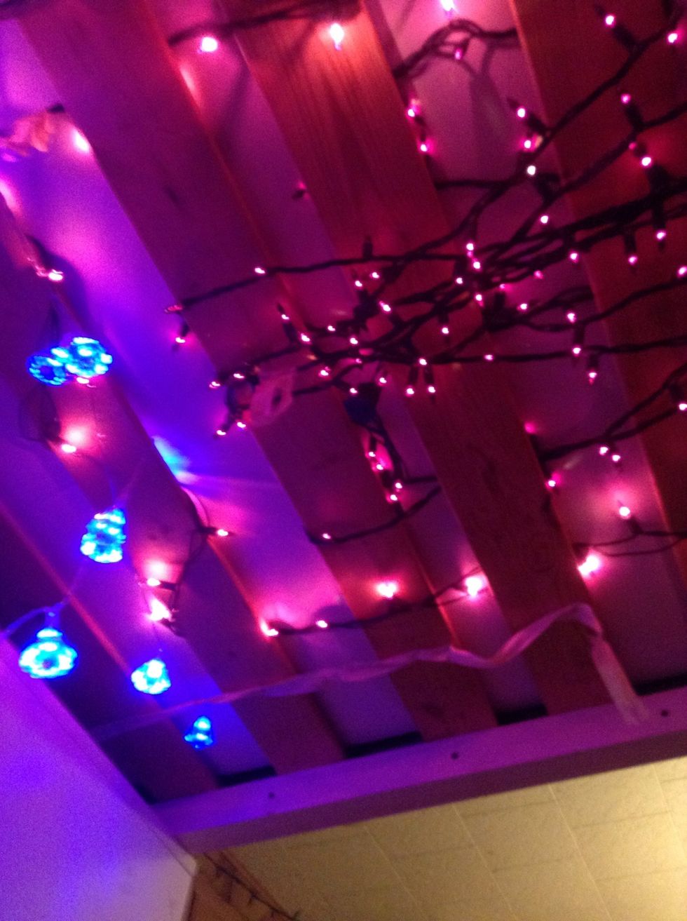 Use some lights! Me and Rachel strung these lights on her bunk bed because I prefer the room to be a bit lit up. As long as it doesn't bother anybody else, you can try this too!