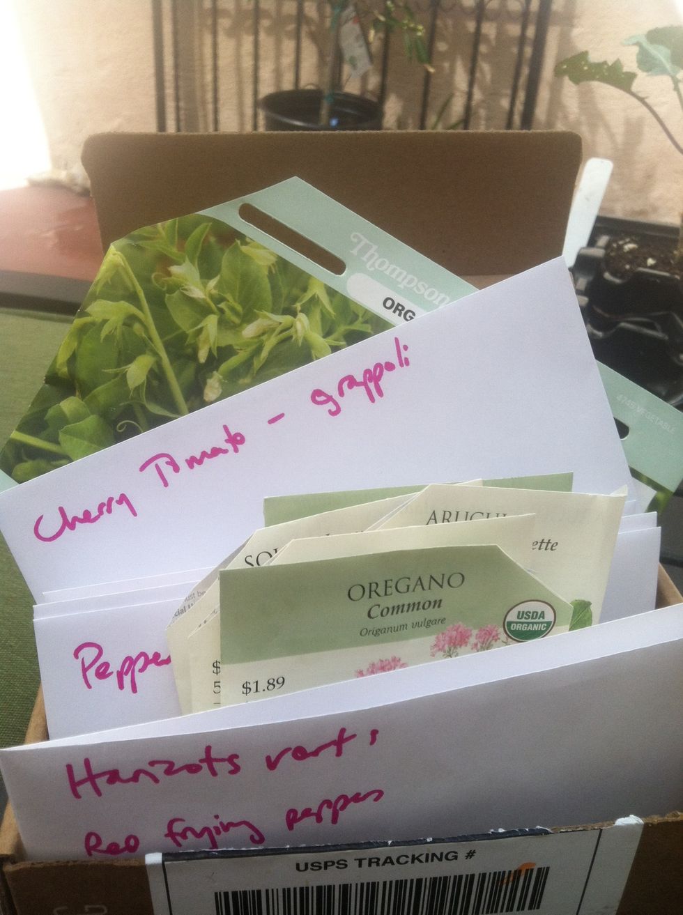 Use the best seeds you can find - heirloom seeds, seeds from gardener friends or seed banks, or seeds you've saved from farmer's market fruits and vegetables.