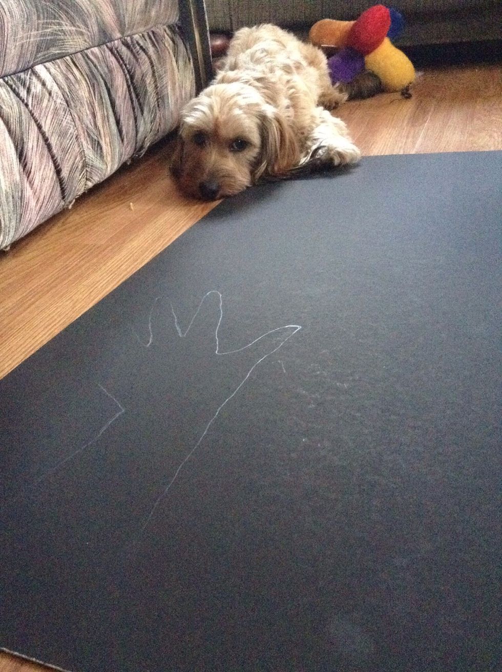 Use the black poster boards and start tracing your arm and hands with different finger positions, make sure to have a cute dog for company so you don't get scared.
