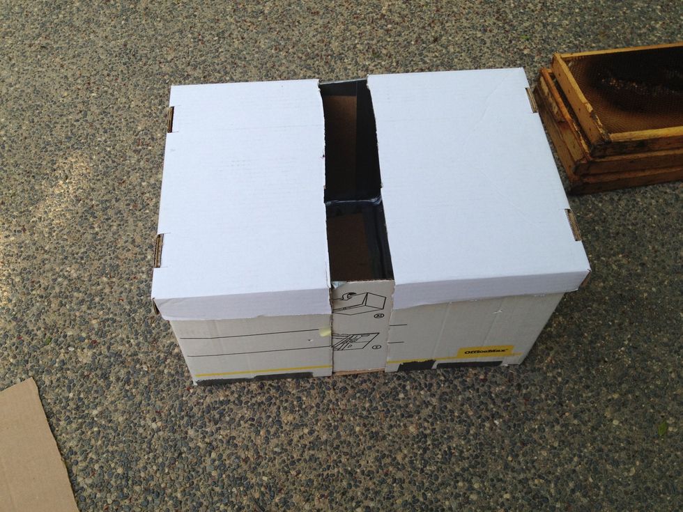 Use the box to resize the lid.