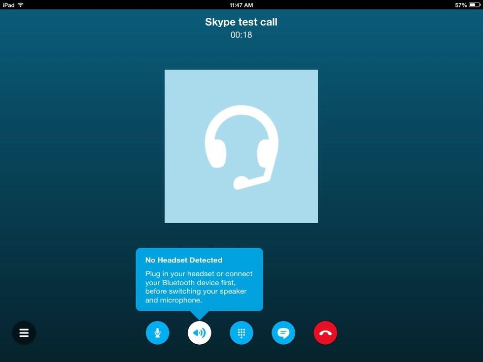 Use the buttons on the bottom of the Skype window to check all the elements of the call.