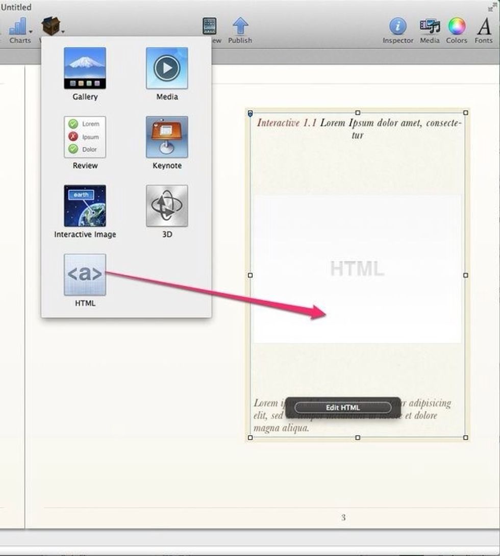 Use the html widget to import your own html5 content (e.g. Projects created using Hype by Tumult.