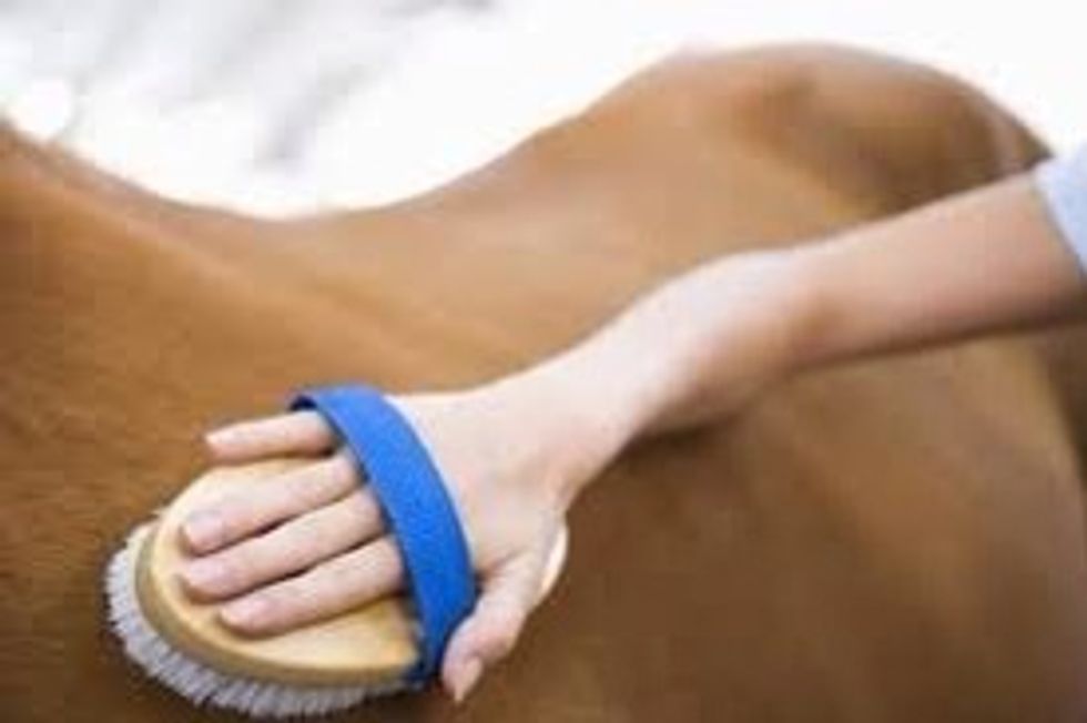 Use the soft brush to get any remaining dirt off and to add shine. Brush the horses legs and face with this brush. Be sure the soft brush isn't to hard though.