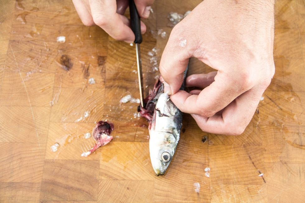 Use the tip of the knife to remove entrails.