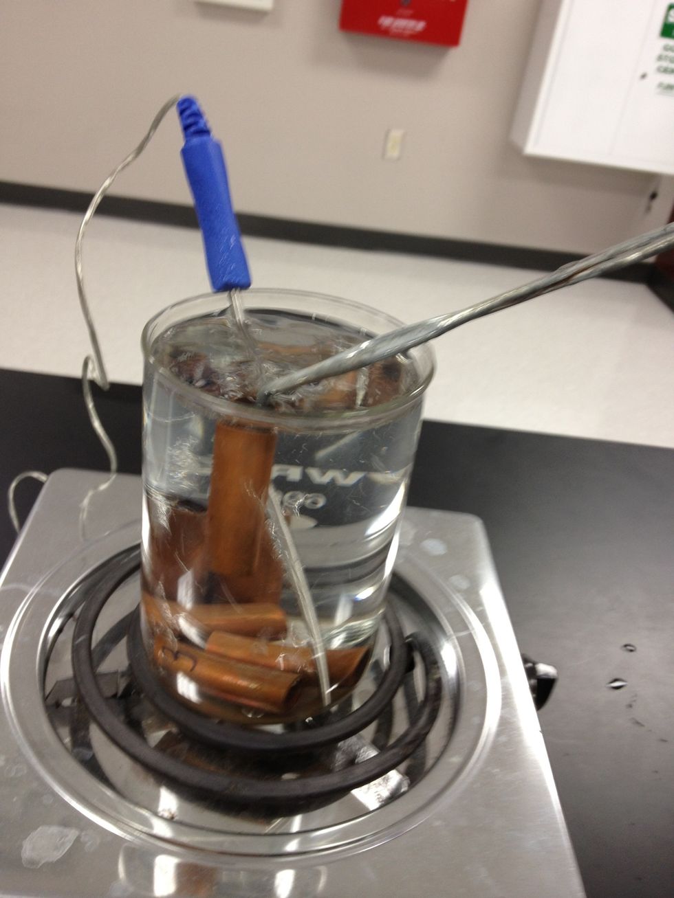 Use the tongs to carefully pick up the metal sample and be ready to transfer it - but keep it in the water. Make sure the water temperature of the cool water has not changed since you recorded it.