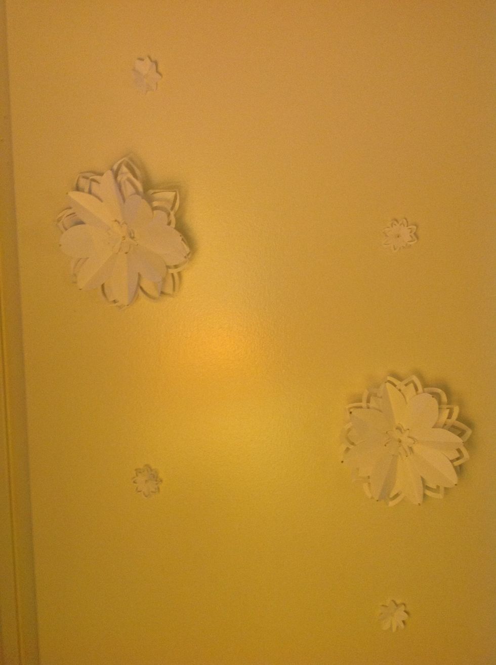 Use them as a decoration \ud83d\ude0a