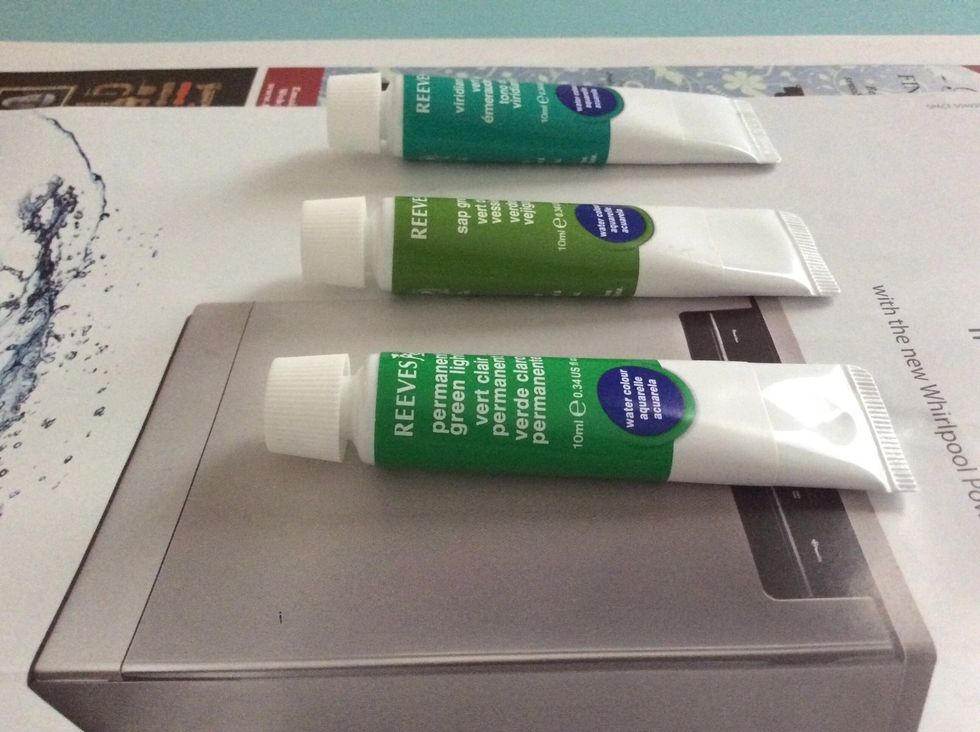 Use three different Sade's of green. I used peppermint green, viridian hue and sap green. We will use the to paint the leaves