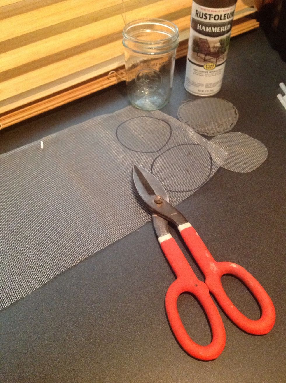 Use tin snips or old scissors to cut out your rounds of screen. Wear safety glasses, the screen  bits can get in your eye when you cut it. Ouch! I will not be getting the blame for your new eye patch.