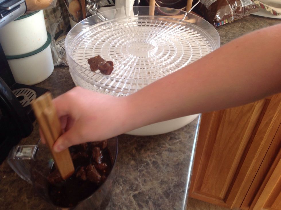 Use tongs to place the marinating meat into your dehydrator.