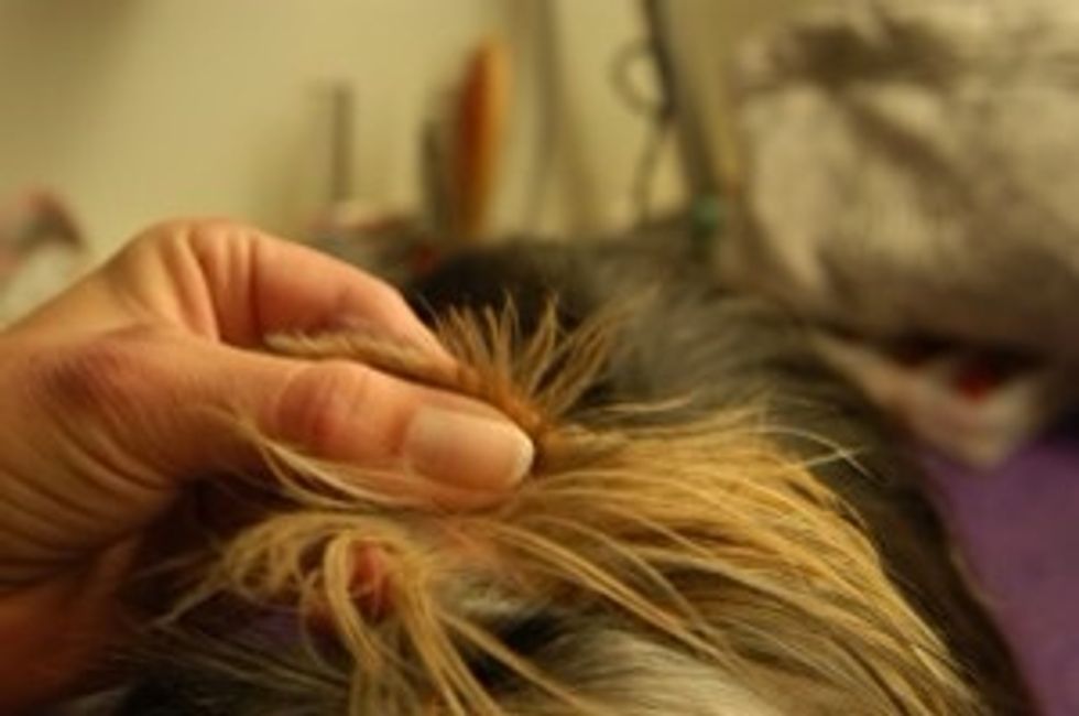 Use your fingers to support the sides of the earflip