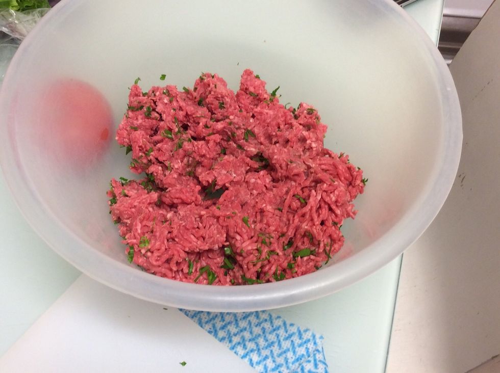 Use your hands to mix the mice and the spring onion together