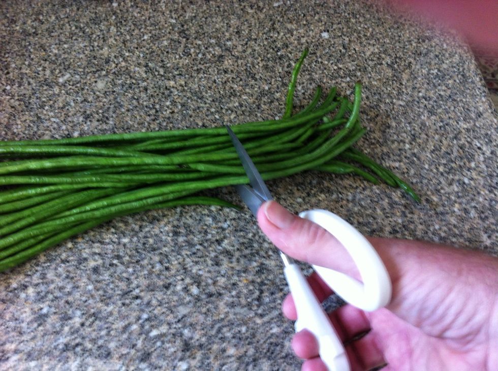 Use your kitchen scissors to cut the beans into 3 to 4 inch long pieces.