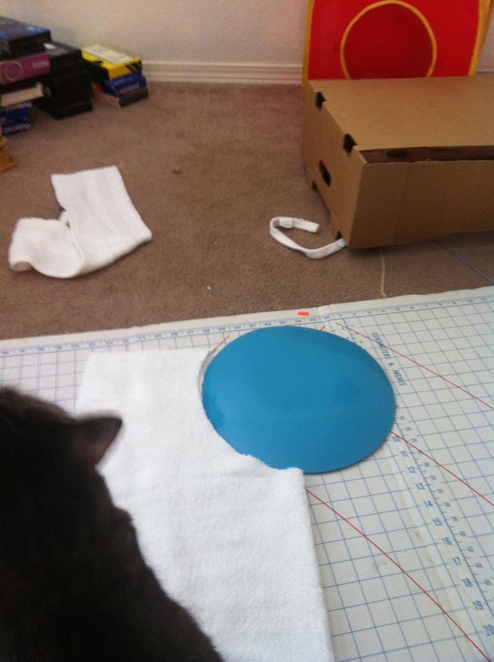 Used 9 in plate 9 1/2 inches down Feline assistance is totally optional