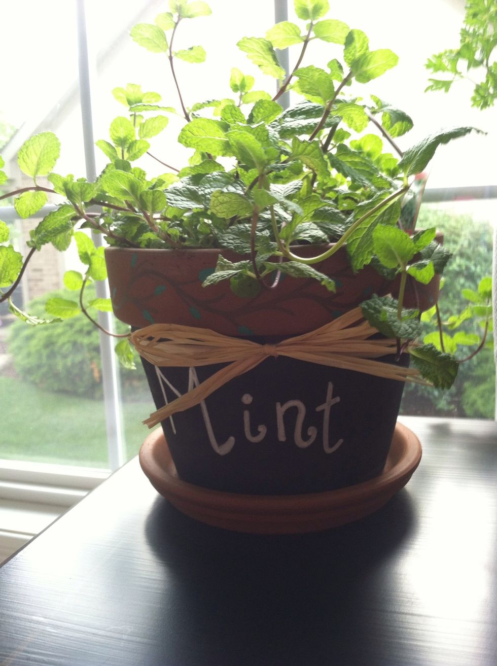 Used the fresh mint leaves from a previous craft! (Labeled Terracotta pots)