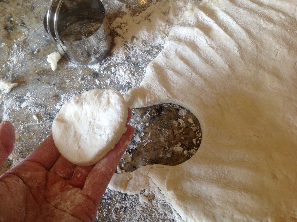 Using a biscuit cutter or inverted glass, cut your biscuits and plans in the skillet or pan. Smash up any extra dough and flatten out to make as many biscuits as possible.