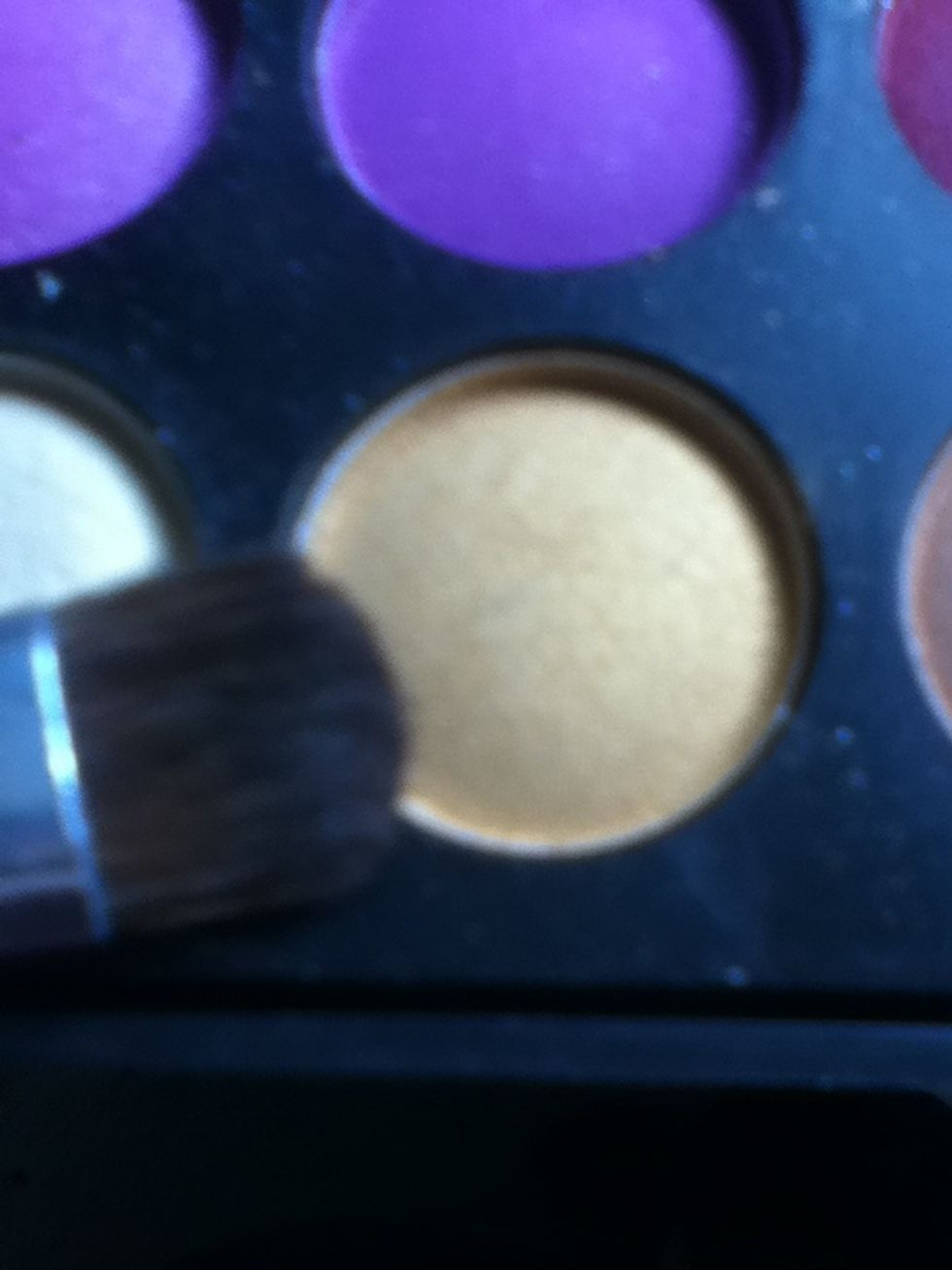 Using a gold eyeshadow...