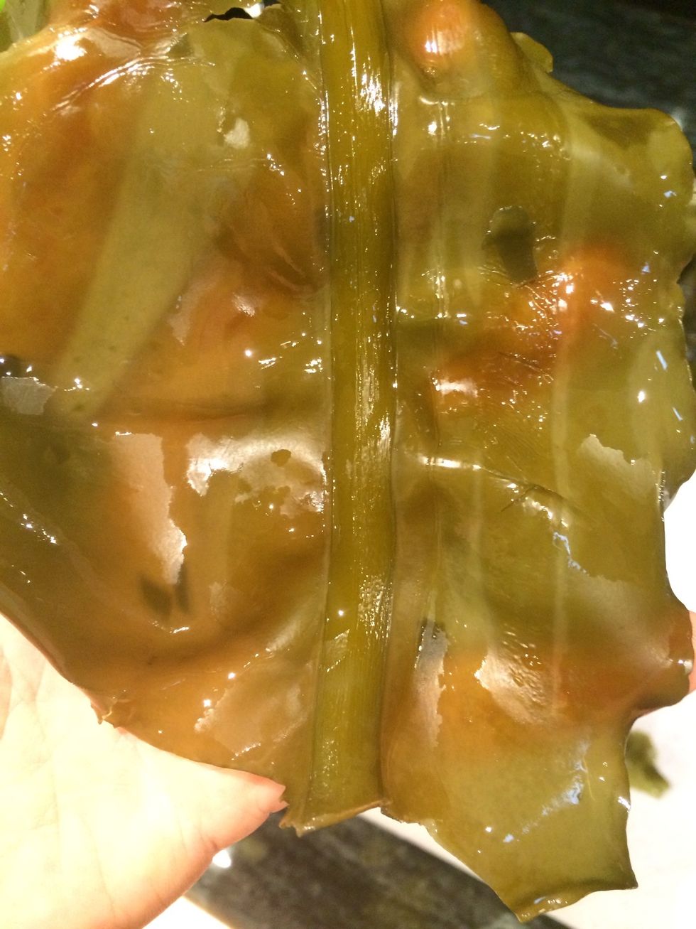 Using a knife, remove any tough ribs (such as this one)