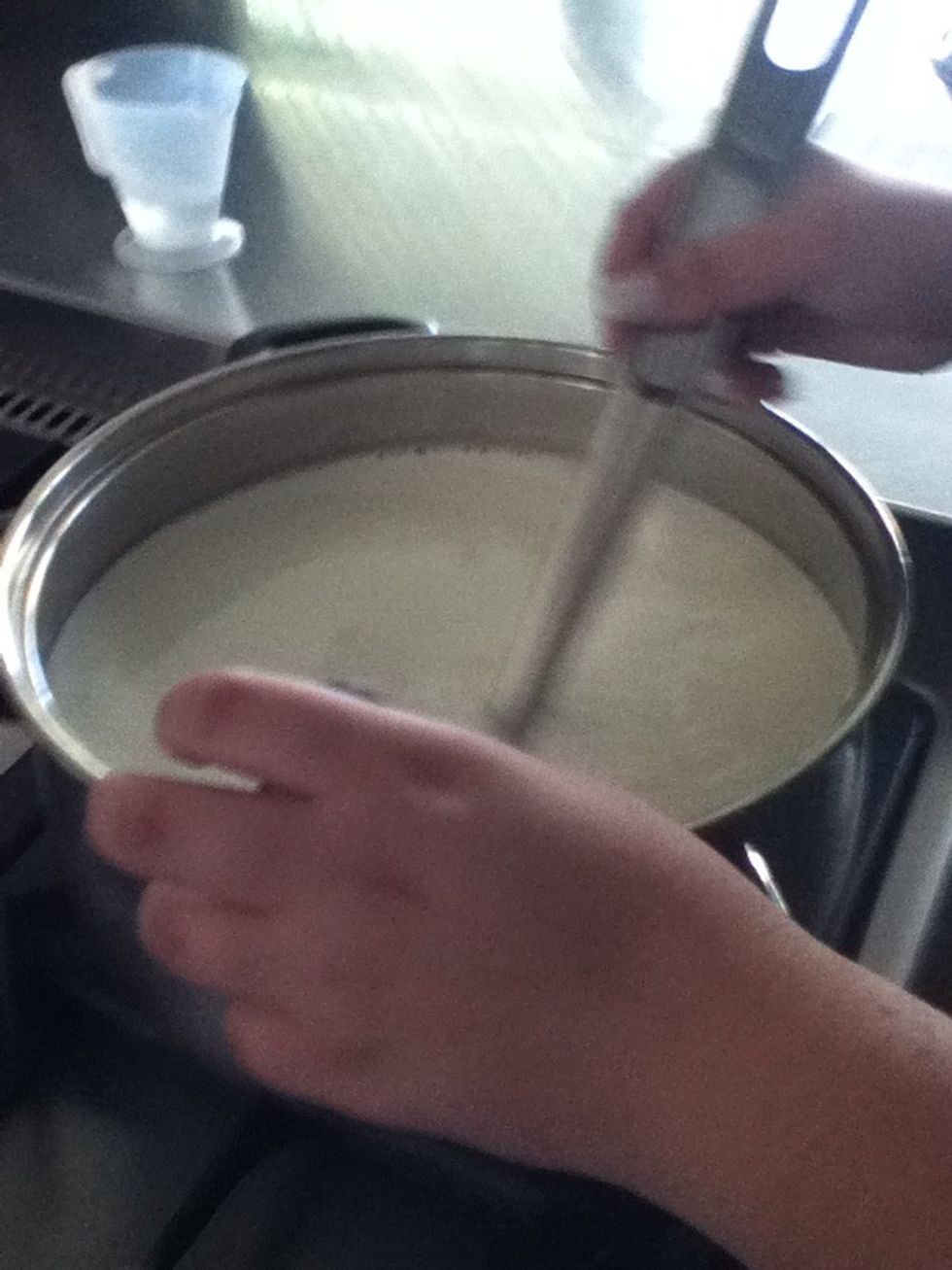 Using a low setting on your stove, gently heat your milk to 32 degrees C. As the milk heats it will start to curdle. Stir gently while the milk heats through.