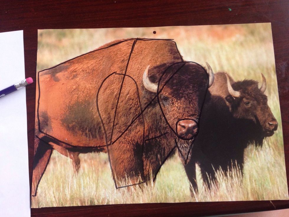 Using a marker or pen I traced around areas that looked like shapes. They could be geometric or free form shapes.