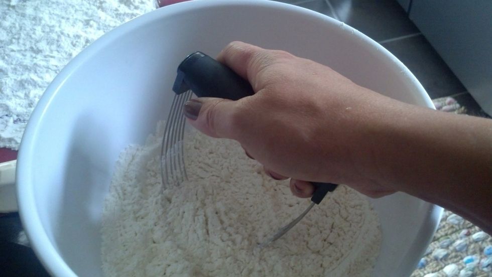 Using a pastry cutter,  cut the butter into the flour mixture.  You goals is to make the butter pieces even smaller and combining it in with the flour.