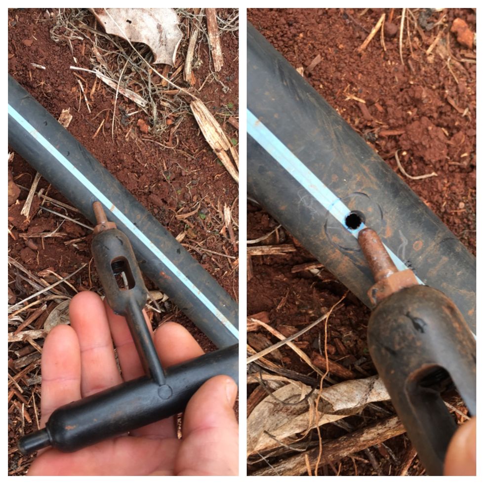 Using a punch make a small hole in your poly tubing/drip tape.