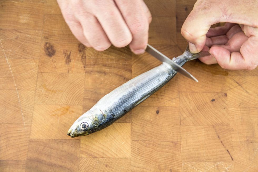 Using a small paring knife, scrape the skin from tail to mouth.