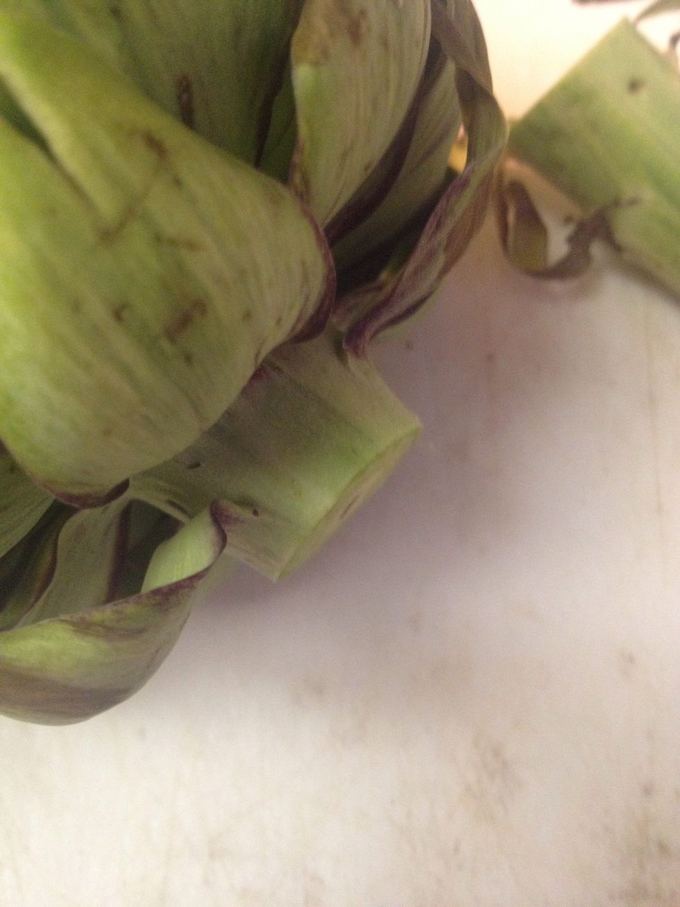 Using a very sharp knife, cut the stem down to a nubbin.