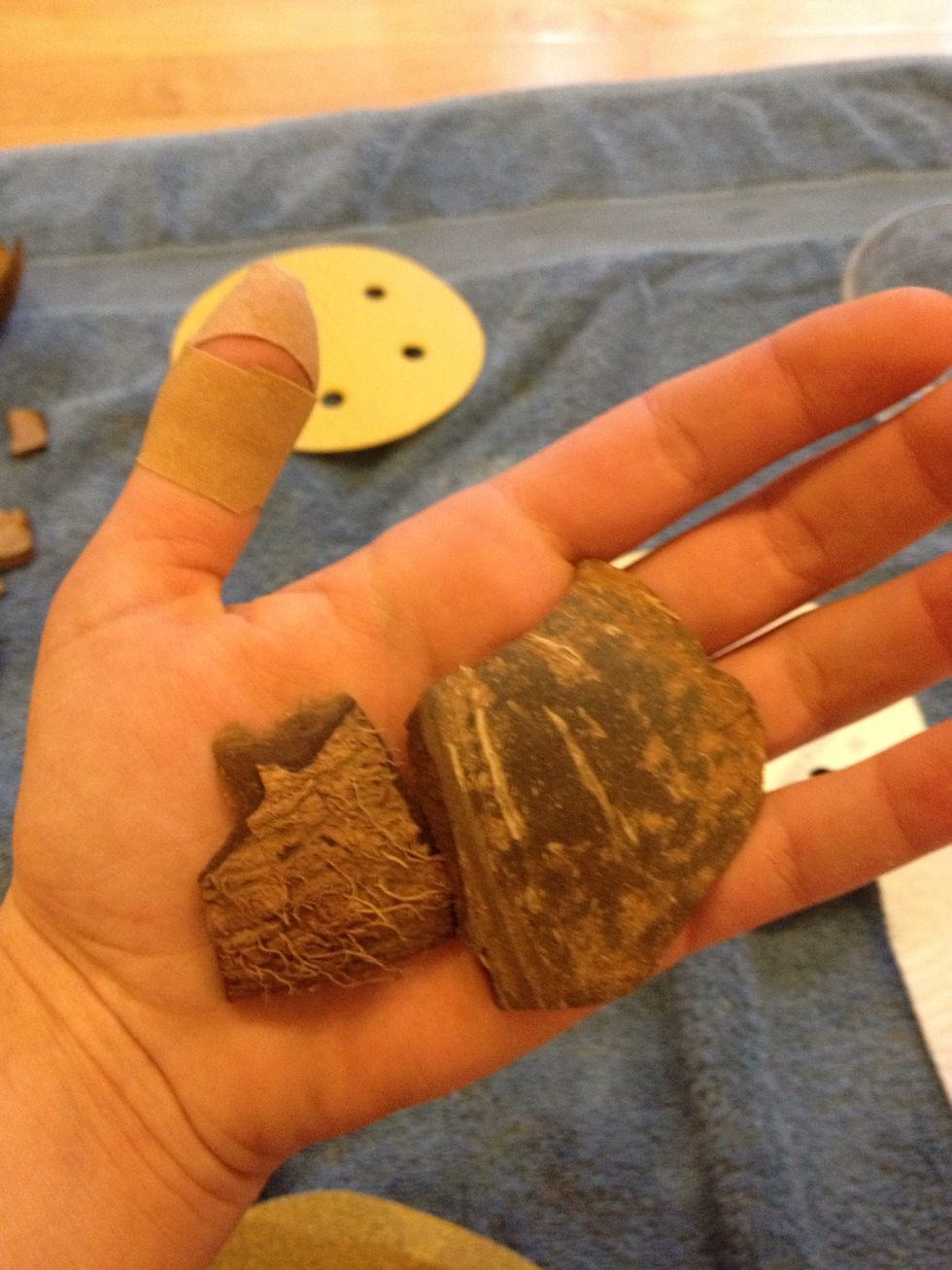 Using coarse sandpaper, sand until all of the "hair" is removed from the shell. When you're done, it should look like the shell on the right.