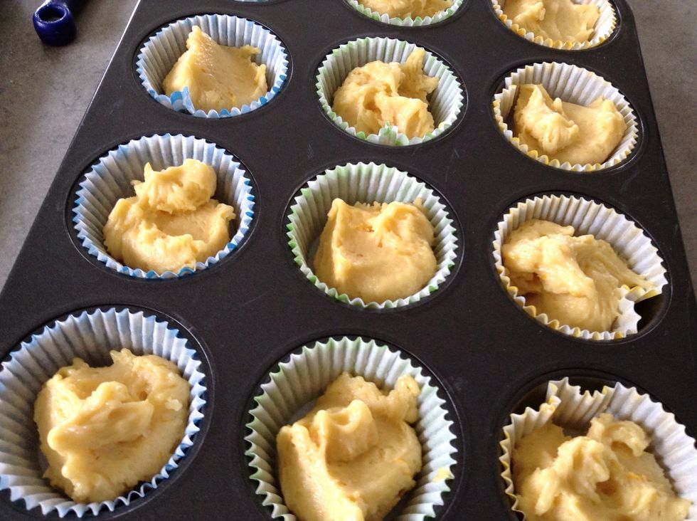 Using table spoons, evenly divide the mixture between the muffin cases
