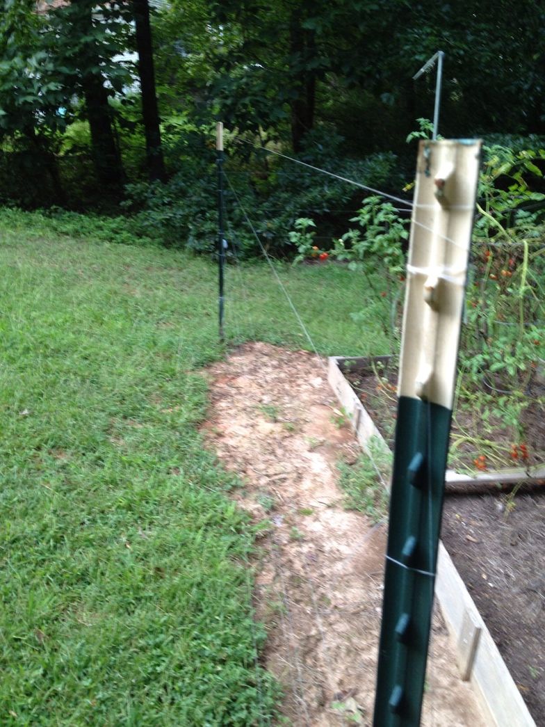 How to deer proof your raised garden - B+C Guides