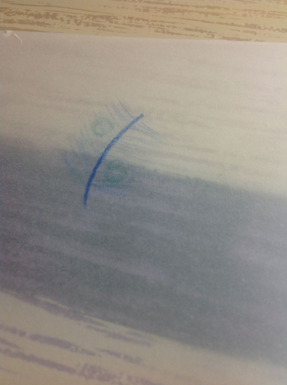 Using the color of your choice, I'm using green, lightly draw circles on the feather.